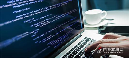 自考計(jì)算機(jī)應(yīng)用技術(shù)專(zhuān)業(yè) 網(wǎng)站技術(shù)服務(wù)方向考試課程指南